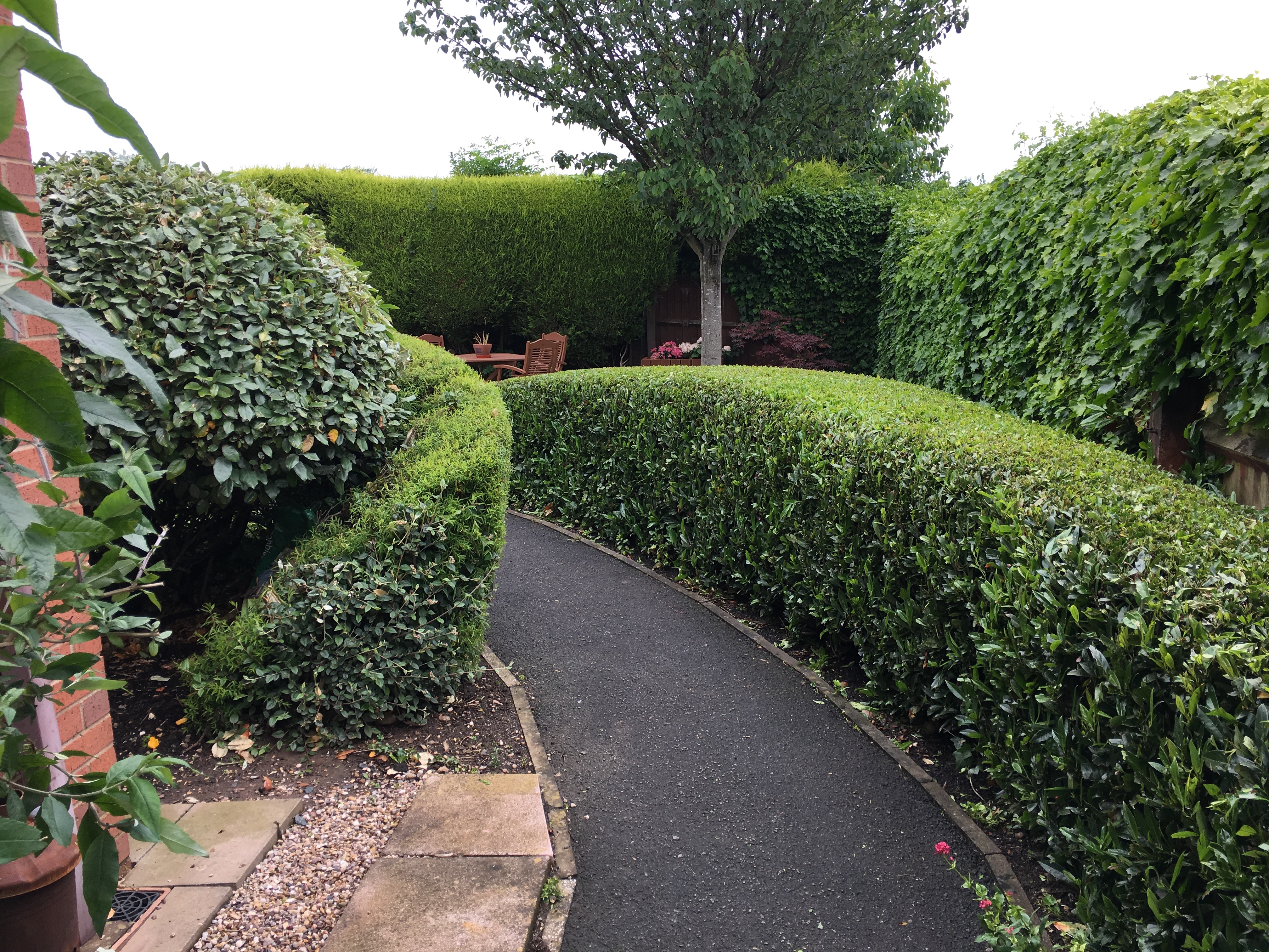 Commercial hedge cutting